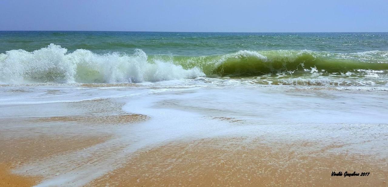 Shinning Waves Apartment Armacao de Pera Bagian luar foto